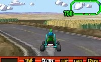 Cornfield 5000