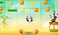 Panda Saltarín