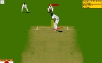 Cricket Virtual
