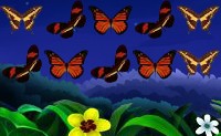 Bellezas de Belice
